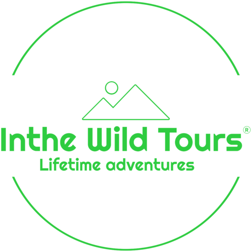 Inthe Wild Tours