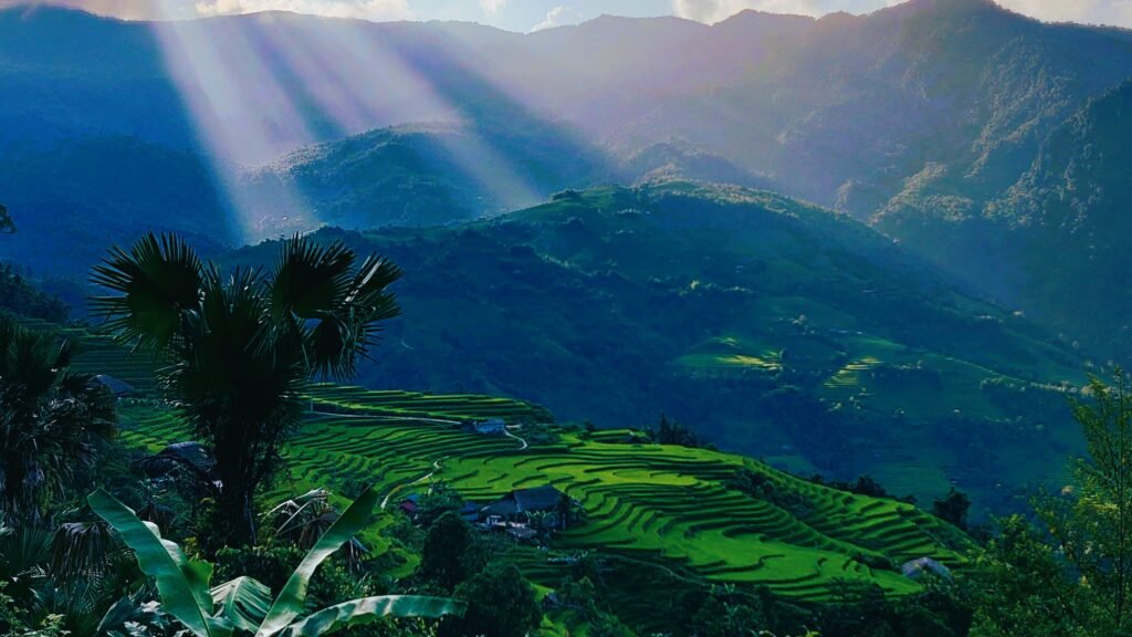 Ha Giang rice fields