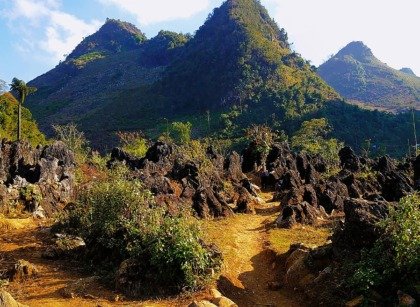 Lối mòn xuyên bãi đá tai mèo trên cao nguyên đá Tủa Chùa, núi xanh phía sau