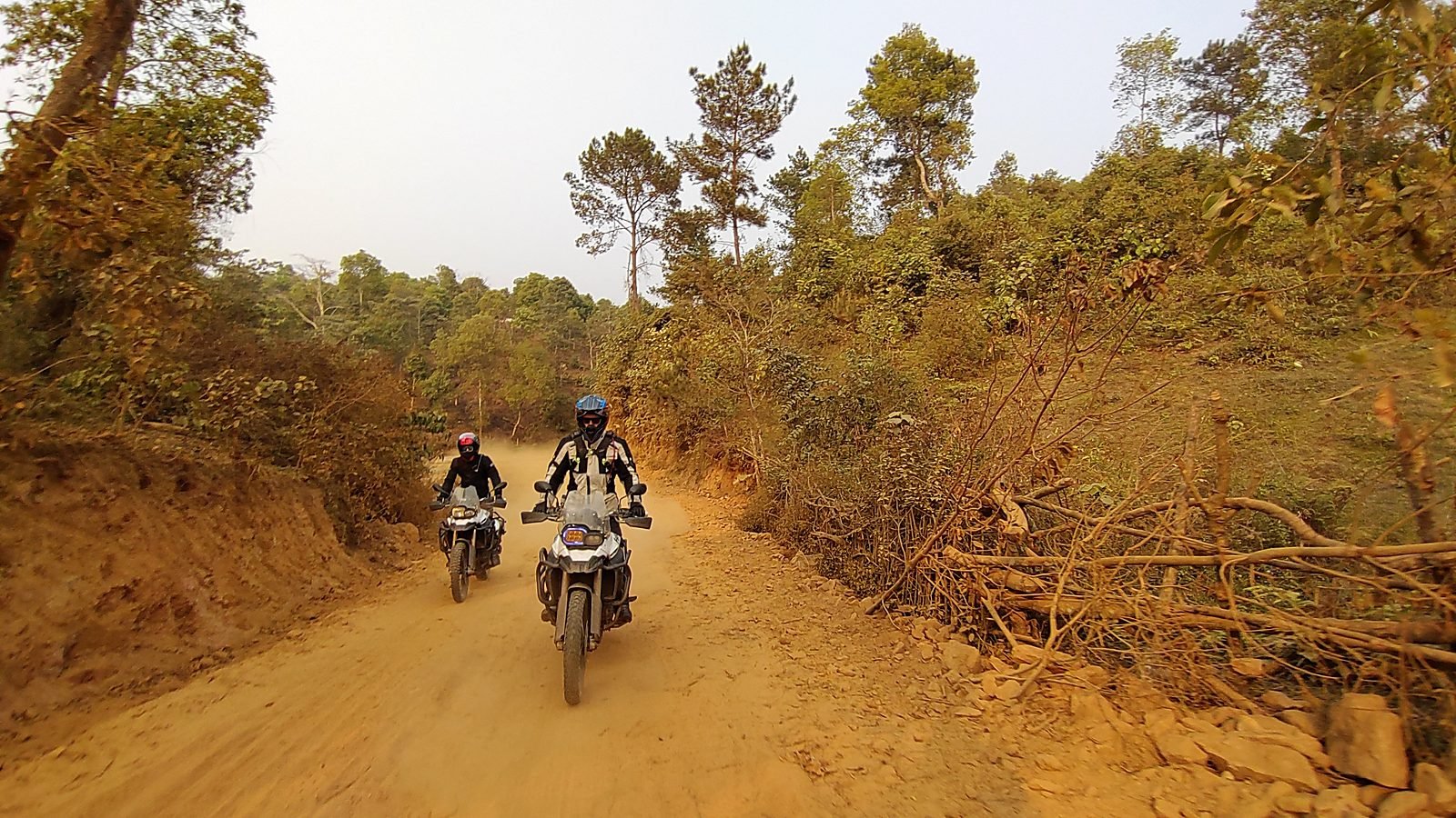 Hai xe mô tô BMW GS chạy trên con đường đất đỏ bụi giữa rừng thông