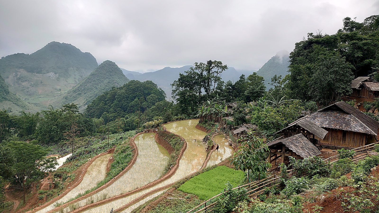 Ruộng bậc thang xanh và những nếp nhà gỗ nằm trên sườn núi ở Tủa Chùa
