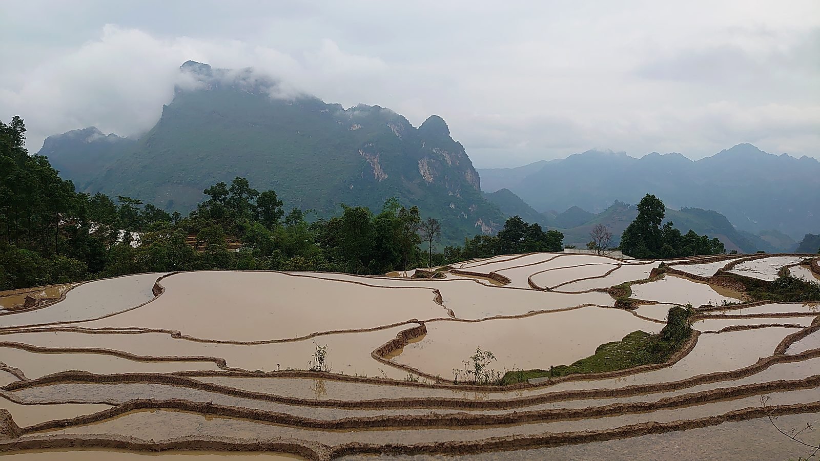 Ruộng bậc thang ngập nước phản chiếu trời, núi đá vôi trong mây phía sau
